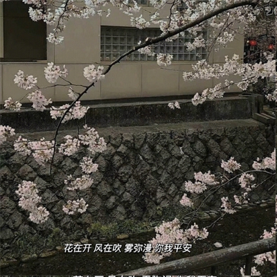 OPPO黄色APP大全｜揭露手机应用乱象，共筑清朗网络空间——深度解析“OPPO黄色APP大全”事件-1