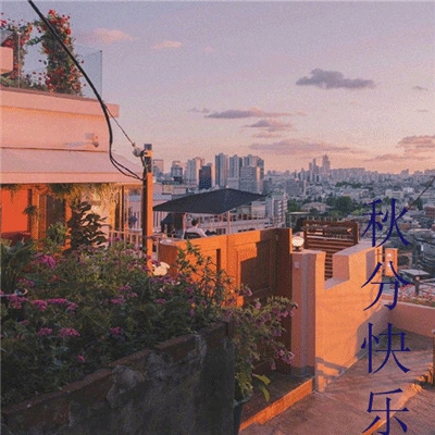 爱搞视频,视频创作热潮：数字时代的新表达与职业机遇