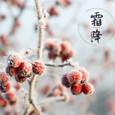 蜜芽.miya188.cnn永不失联app,虚拟探险家乐园 永不失联的诺亚奇遇记-2