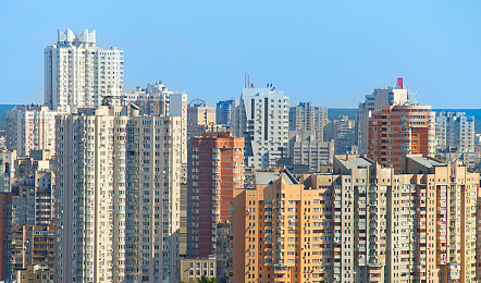荧逃跑失败还被小鹿抓住｜“趣味事件：狐狸荧被小鹿意外抓住，网友热议野生动物和谐共处”-2