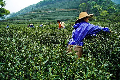 数学课代表趴下让我C：中学生课堂冲突引发热议,教育方式与心理健康成焦点-2