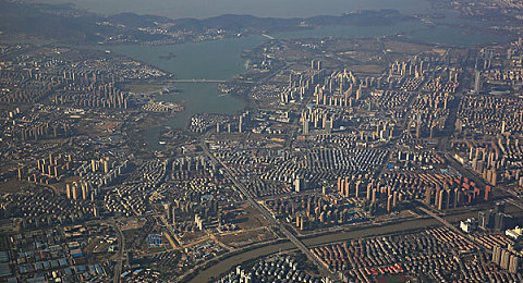 荧逃跑失败还被小鹿抓住｜“趣味事件：狐狸荧被小鹿意外抓住，网友热议野生动物和谐共处”-3