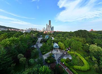 蜘蛛磁力搜索,磁力操控大师：探索未知谜题世界-3