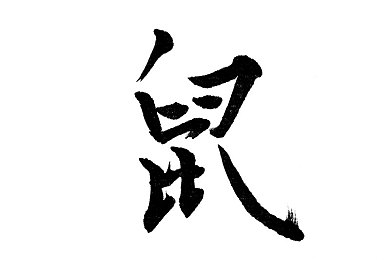 草莓榴莲向日葵18岁｜青春阳光，草莓榴莲向日葵梦想之旅-4