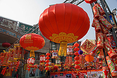 草莓视频在线免费下载｜草莓视频免费下载攻略：轻松获取海量视频资源的秘密武器-4