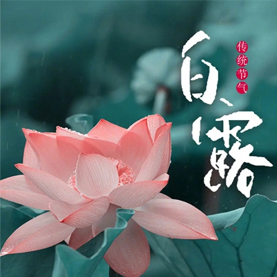 禁止观看app｜数字时代守护者：揭秘禁止观看app兴起背后的故事与注意事项