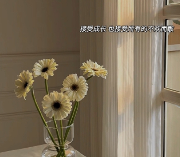 爽 躁多水 快 熟妇,女性力量绽放 职场生活双赢的幸福秘诀-2