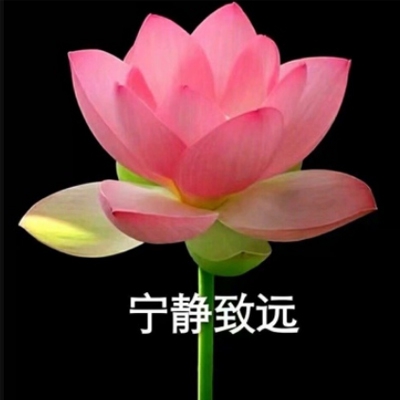 够了够了已经满到高C了甜甜｜挑战巅峰，铸就非凡人生之旅-1