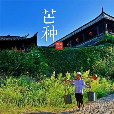 香蕉打卡,香蕉挑战 智慧与速度的完美结合