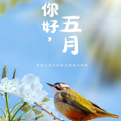 18款禁用APP软件免费上线｜隐私守护，畅享18款APP免费盛宴-2