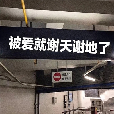 老师的兔兔,迷失在知识迷宫的兔子,恐惧与学习的交织